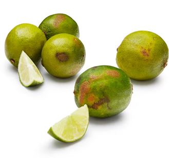 Limes Juicing box