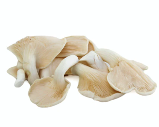Mushrooms Oyster White 300gm