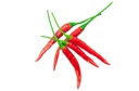 Chillies Thai Red