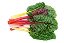 Silverbeet Rainbow