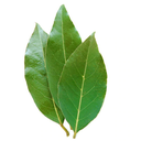 Leaf Bay