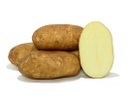Potatoes Kennebec