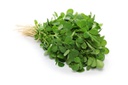 Fenugreek