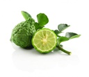 Limes Kaffir