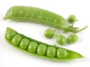 Peas Fresh