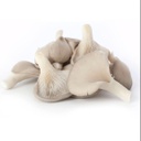 Mushrooms Oyster Grey 150gm