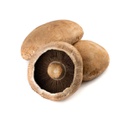 Mushrooms Swiss Flat M