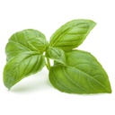 Basil Picked 150gm